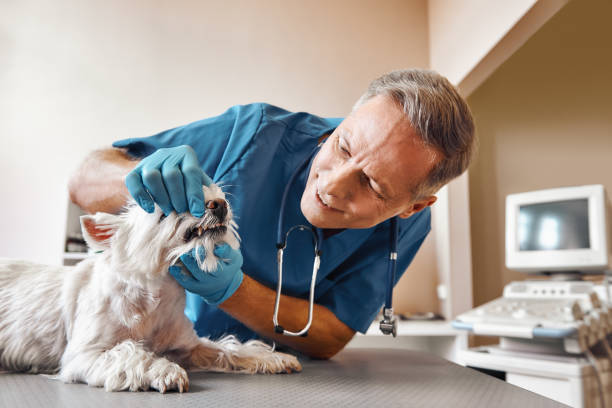 Best Emergency Broken Tooth Repair in Randolph Af, TX